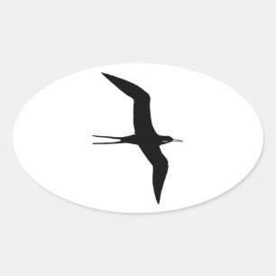 Man O' War (magnificent frigatebird) Oval Sticker