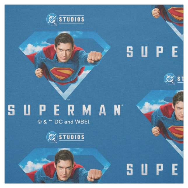 Man of Steel in Flight Fabric (Swatch)