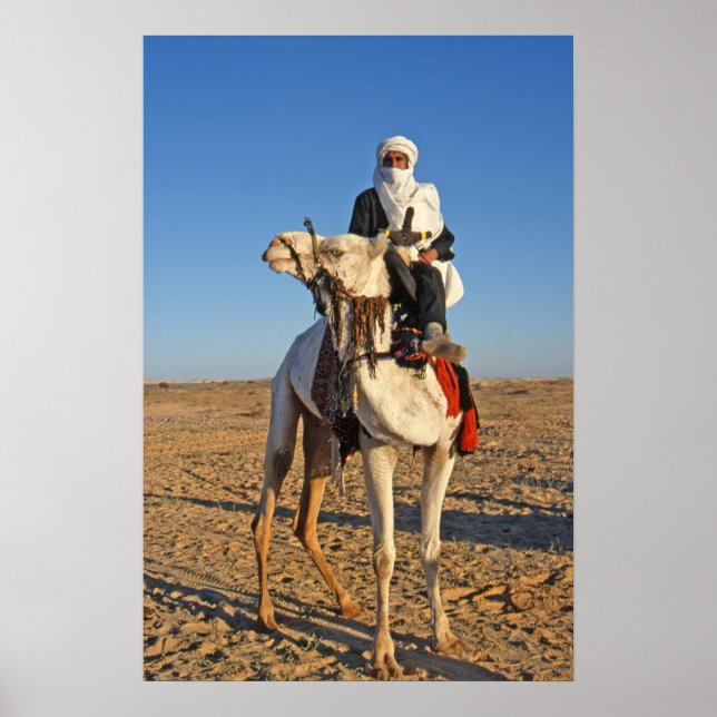 Man on a camel Poster (Front)