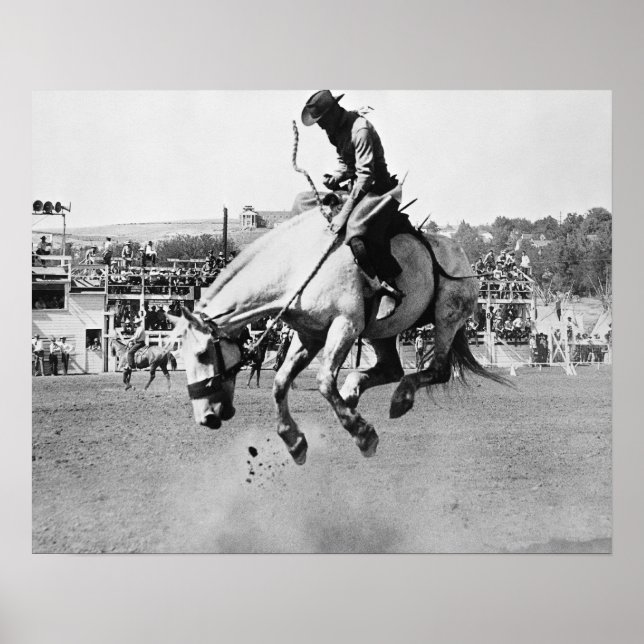 Man riding bucking horse in rodeo poster (Front)