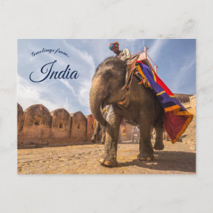 Man Riding Elephant At Amber Palace Jaipur India Postcard