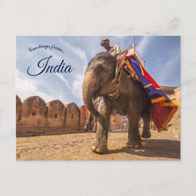 Man Riding Elephant At Amber Palace Jaipur India Postcard (Front)