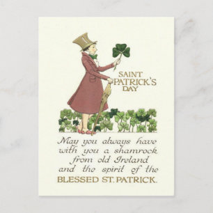 Man Shamrock Shillelagh Postcard