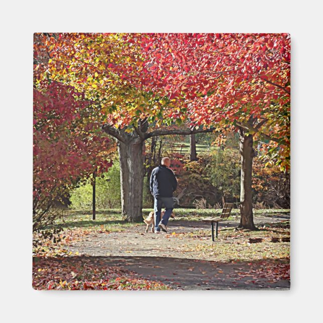Man Walking Dog in Autumn Park Magnet (Front)
