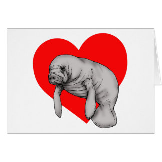 manatee art
