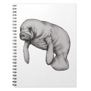 manatee art spiral notebook