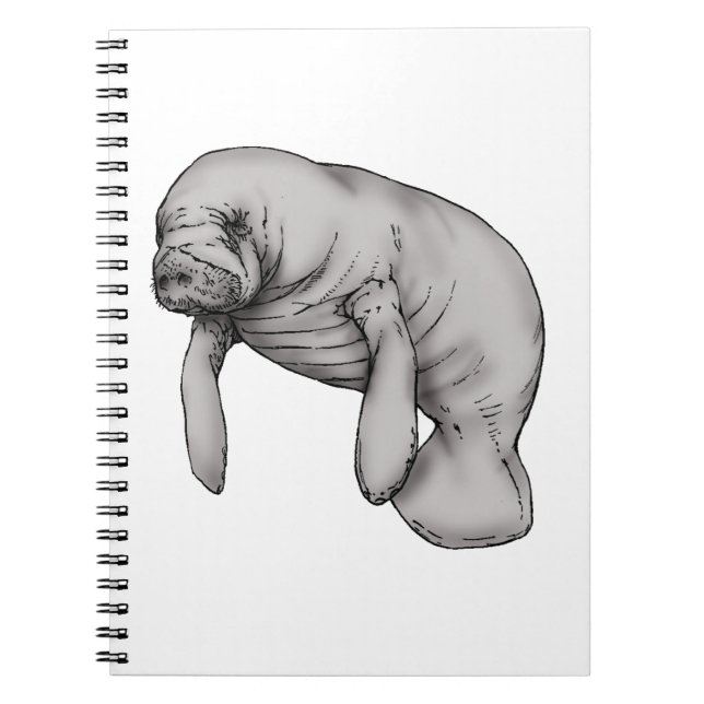 manatee art spiral notebook (Front)