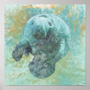 Manatee Artwork Poster