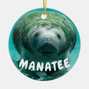 Manatee face photo ceramic tree decoration