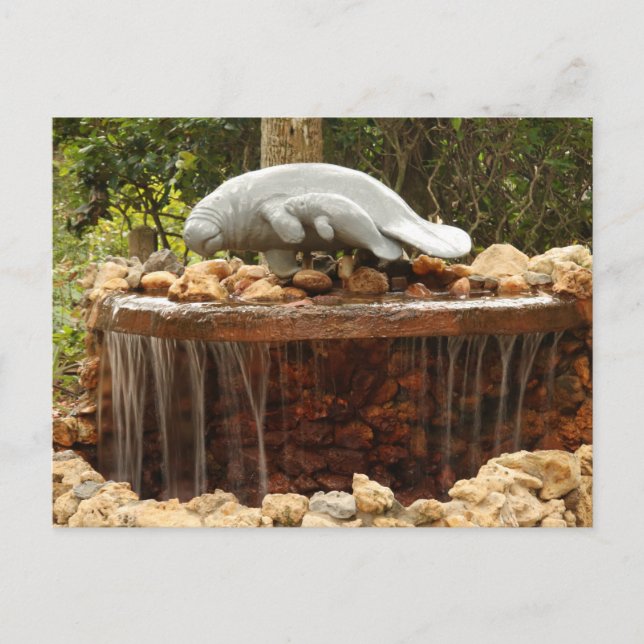 Manatee Fountain Postcard (Front)