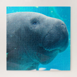 Manatee Jigsaw Puzzle