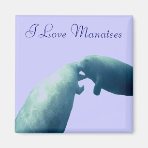 Manatee Magnet