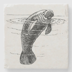 Manatee marble stone coaster