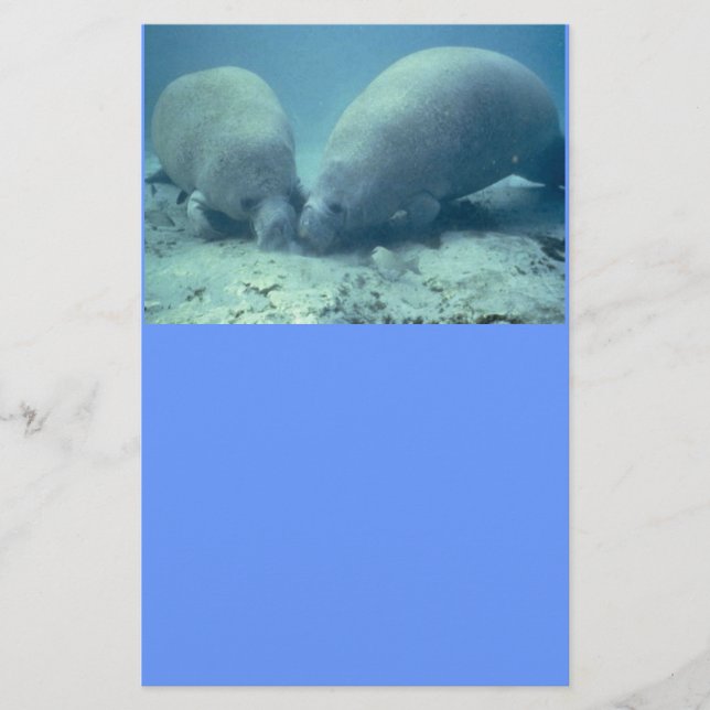 Manatee Moments Stationery (Front)