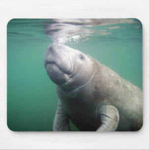 Manatee Mouse Pad