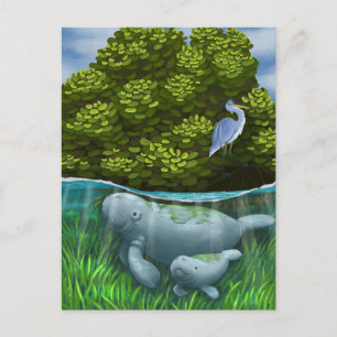 Manatee Mum and Calf Postcard