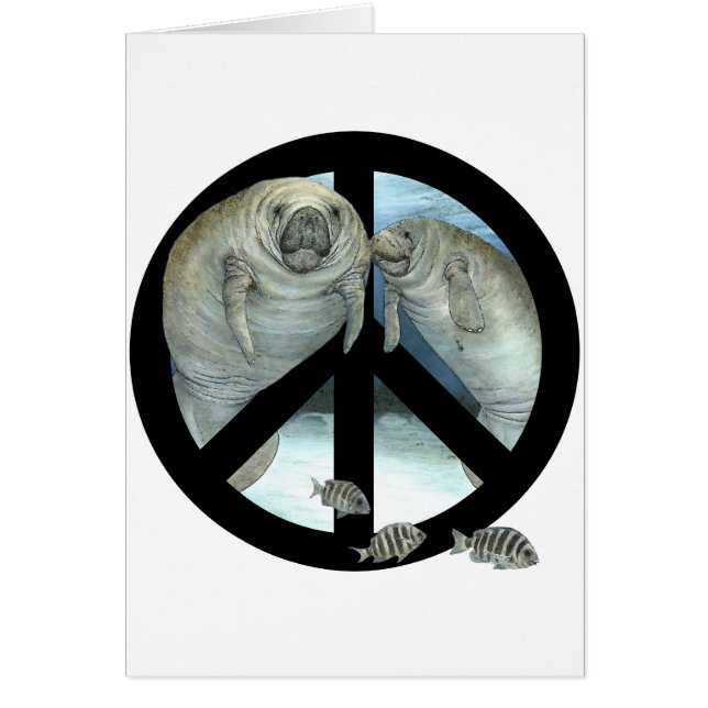 manatee peace (Front)
