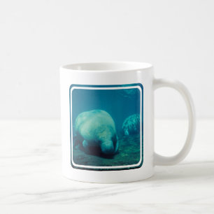 Manatee Photo Coffee Mug