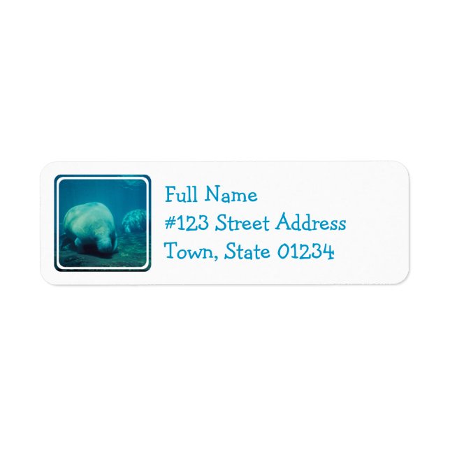 Manatee Photo Mailing Label (Front)