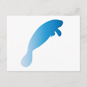 Manatee Postcard