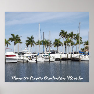 Manatee River Bradenton FL Poster