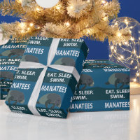 Manatee Sea Cow Animal Manatee