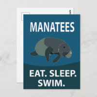 Manatee Sea Cow Animal 