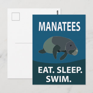 Manatee Sea Cow Animal  Postcard