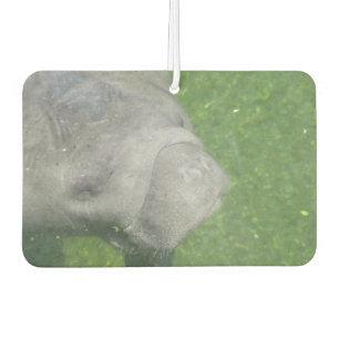 Manatee Smiles Car Air Freshener