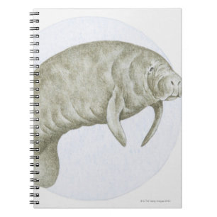 Manatee Spiral Notebook