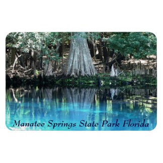 Manatee Springs Fl Flexi Magnet