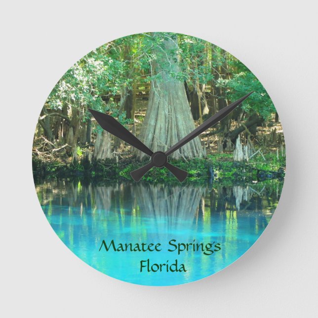 Manatee Springs Fl Wall Clock (Front)