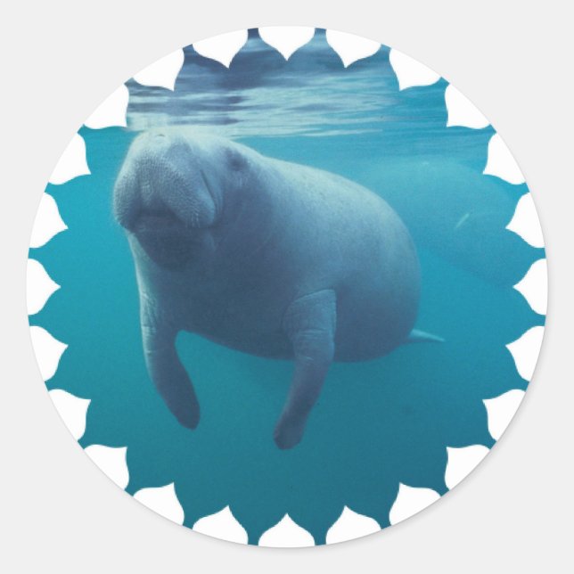 Manatee Stickers (Front)