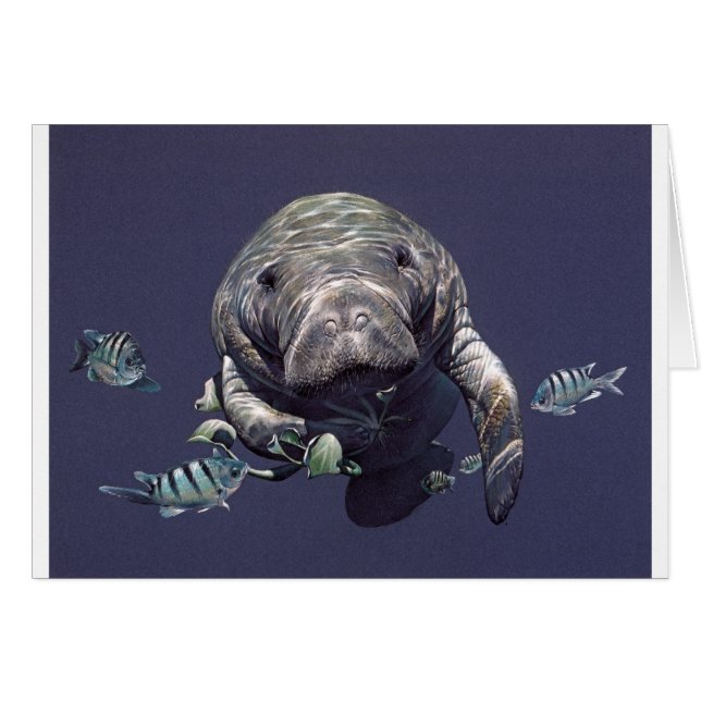 Manatee Underwater World (Front Horizontal)