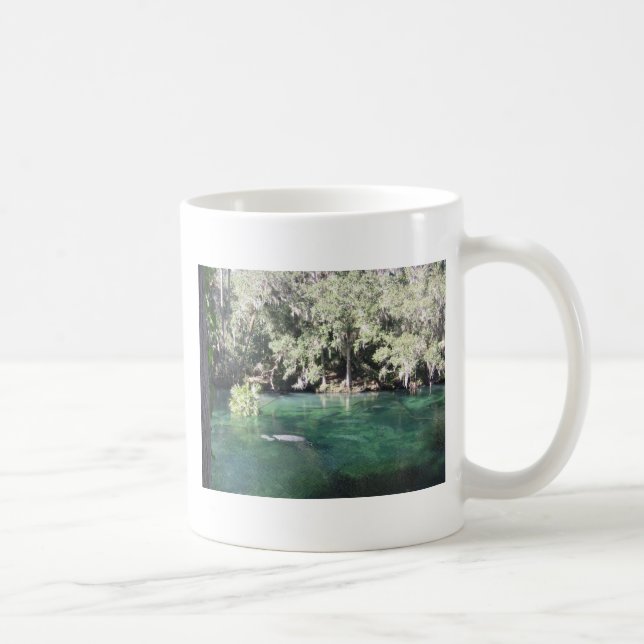Manatees at Blue Springs Florida Coffee Mug (Right)