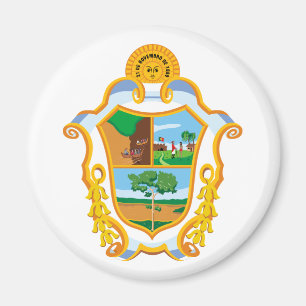 Manaus Amazonas, Brazil Magnet