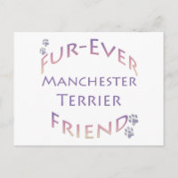 Manchester Terrier Furever