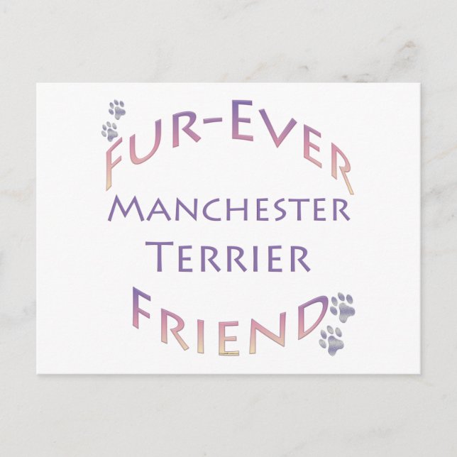 Manchester Terrier Furever Postcard (Front)