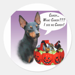 Manchester Terrier Halloween Candy Classic Round Sticker