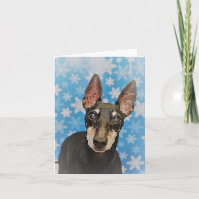 Manchester Terrier Holiday Card (Front)
