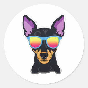 Manchester Terrier in Cool Sunglasses Classic T-Sh Round Sticker