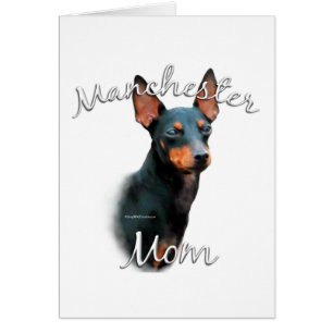Manchester Terrier Mum 2