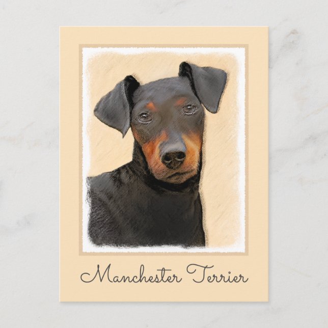 Manchester Terrier Painting Original Animal Art Postcard (Front)