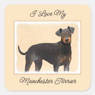 Manchester Terrier Painting Original Animal Art Square Sticker