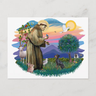 Manchester Terrier Postcard