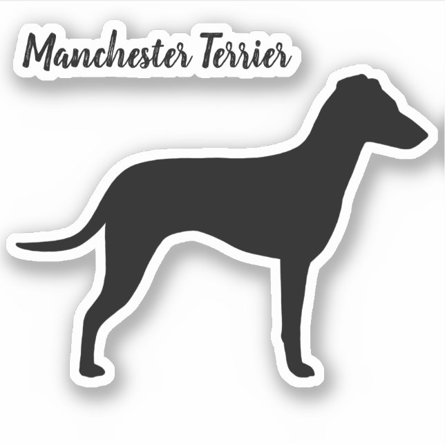 Manchester Terrier Silhouette with Natural Ears (Front)