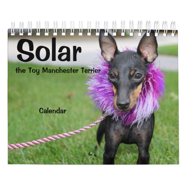 Manchester Terrier Small 2021 Calendar A (Cover)