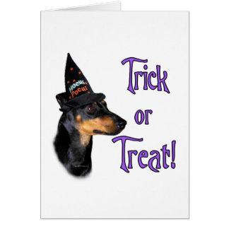 Manchester Terrier Trick