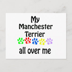 Manchester Terrier Walks Design Postcard