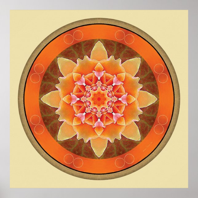 Mandalas for a New Earth, No.  2 Poster (Front)
